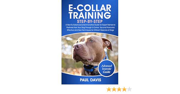e collar training techniques