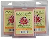 EcoScents 100% All Natural Soy Wax Melts - 