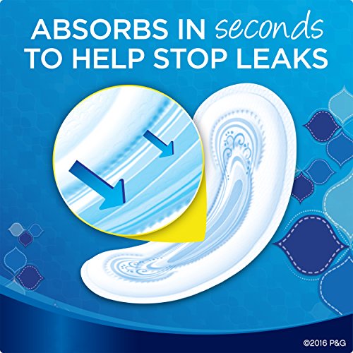 Always Maxi Unscented Pads without Wings, Regular, 48 Count