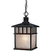 Dolan Designs 9113-68 1Lt Winchester Barton 1 Hanging Light