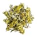 Greek Mountain Tea Organic Handpicked - Ironwort Herbal Tea Mt Olympus Greece - Sideritis Scardica Shepherd's Greek Teas Mountain Tea From Greece - Greek Teas Mountain Greek Tea Organic Greek Tea