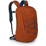 Osprey Axis Laptop Backpack