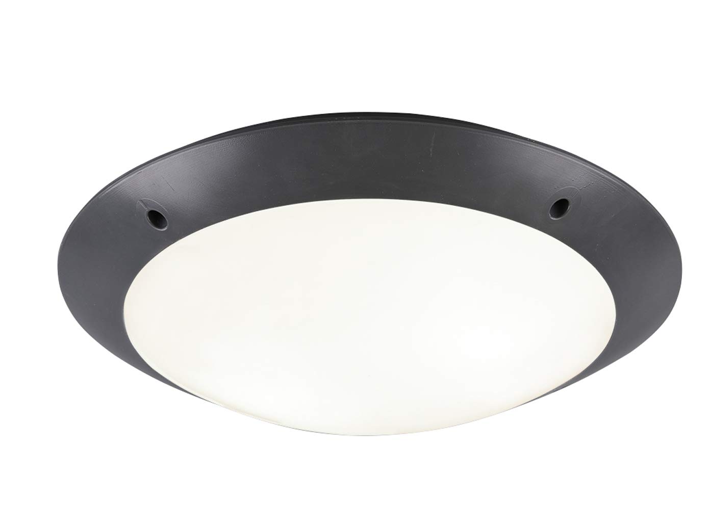 Reality Leuchten Camaro Outdoor Ceiling Light, Charcoal