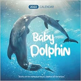 Dolphin Schedule 2022 Baby Dolphin Calendar 2022: Calendar 2022 With 6 Months Of 2021 Bonus:  Publishing, Jimmy: 9798738314810: Amazon.com: Books