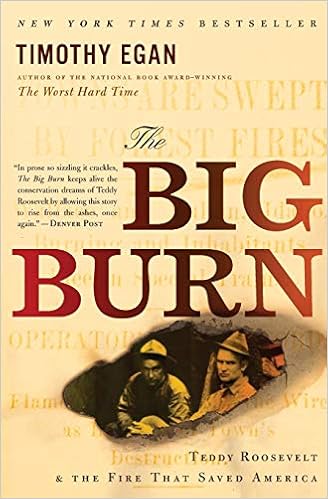 The Big Burn Teddy Roosevelt And The Fire That Saved America Egan Timothy 9780547394602 Amazon Com Books