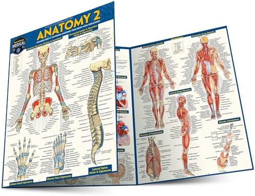 Anatomy Reference Guide 解剖学 医学書 Anatomy Reference Guide: Perez, Vincent: 9781423242666: Amazon.com