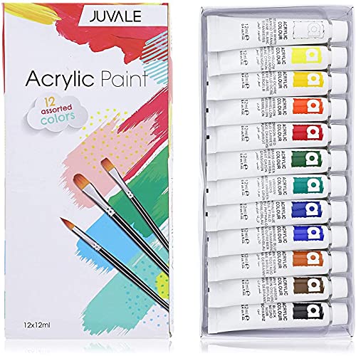 Acrylic Paint Set, Painting Party Supplies (12 x 12 ml, 12 Pack)