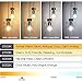 Boncoo Vintage LED Edison Bulb Dimmable 6W A19 LED Light Bulbs 2700K Soft White 600LM Led Filament Bulb 60W Incandescent Equivalent E26 Medium Base Decorative Clear Glass 6 Pack