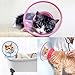 IN HAND Adjustable Recovery Dog Cone Cat Cone Clear Padded ECollar with Breathable Soft Edge Plastic Soft Cone Designed for Cats and Puppies