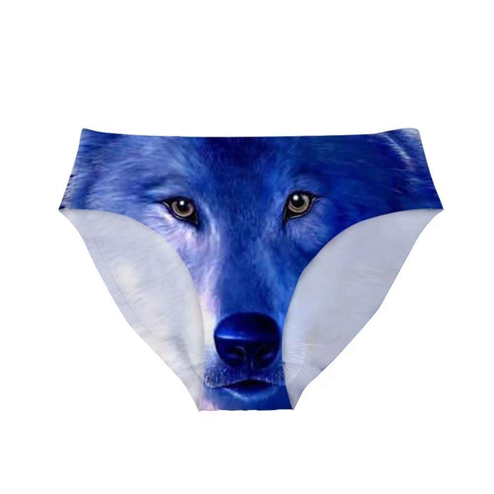 Buy Dellukee Funny Womens Underwear Breathable Hipster Panty Briefs