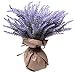 Artificial Eucalyptus Grass Green Plant Spray Pick - 6 Bundle Branches Tinted Decorative - 13 Inches for Floral Arrangements, Wedding, Home Décor, Garden, Indoor, Outdoor Style (Lavender 6 Bundle)