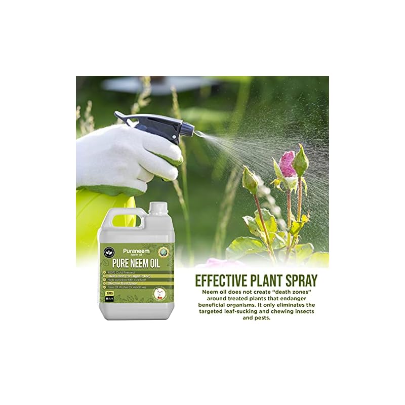 Coldpressed neem oil