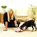 Company of Animals Nina Ottosson Dog Magic Interactive Plastic Toy