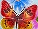 Evergreen Graceful Butterfly Glass Birdbath Bowl, 18 inches. Glass Painted Bird Bath or Feeder Dish for Standing Birdbaths