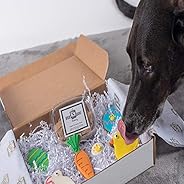 BoxDog Cookie Club Subscription