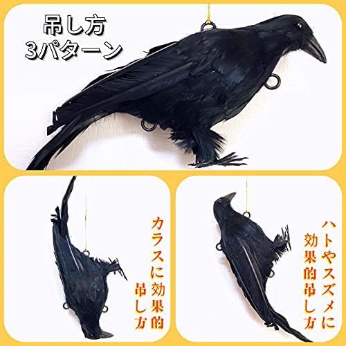 Amazon Co Jp Onesora カラスよけ 本物そっくり リアル羽毛カラス ぶら下げて吊るすだけ カラス撃退 簡単設置 鳥の鳴き声 フン害 巣作り被害 防止対策 ゴミ置き場 ベランダー 菜園 畑 倉庫など設置適用 ひも１ｍ付き 小振りサイズ 1羽 Diy 工具 ガーデン