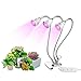 Grow Lights, TGGOUS Grow Lamp Bulbs 15W Three Head with Separate Switch and Adjustable Gooseneck 360 Degree for Indoor Plants Flowers Vegetables Seed Starting Succulents Greenhouse (Silver)