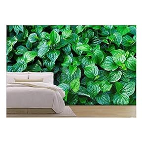 Material. Thai Medicinal Plants.(Piper Sarmentosum Roxb.) - Removable Wall Mural | Self-Adhesive Large Wallpaper - 66x96 inches