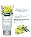 Kneipp Evening Primrose Body Wash, 6.76 Fl. Oz