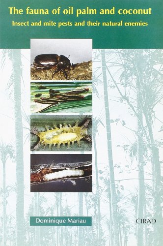 The  fauna of oil palm and coconut