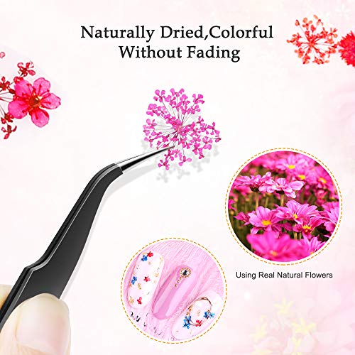 Nail Art Dried Flowers and Leaves 3D Nail Art Sticker Decals,24 Colors Natural Real Small Dried Flowers Nail Art Kit Decorations Supplies with Tweezer (2 Boxes)