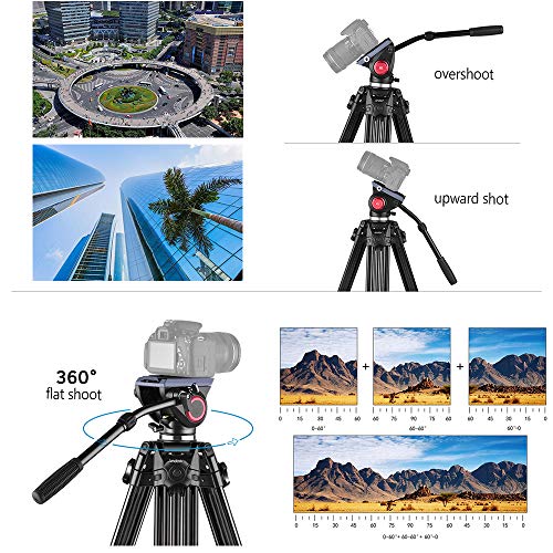 Andoer Heavy Duty Tripod, Aluminum Twin Tube Tripod with Max Load of