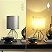 Table Lamp, Bedside Minimalist Fabric Desk Lamp, Aglaia Modern Silver Chrome Metal Basket Cage Style with a Silver Fabric Shade and 4W LED Bulb [Warm White]