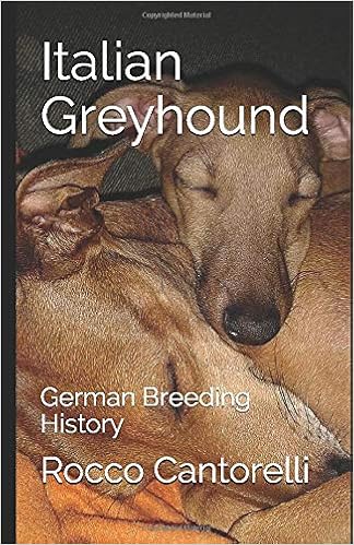 Italian Greyhound, German Breeding History �y�[�p�[�o�b�N  - 2019/1/19