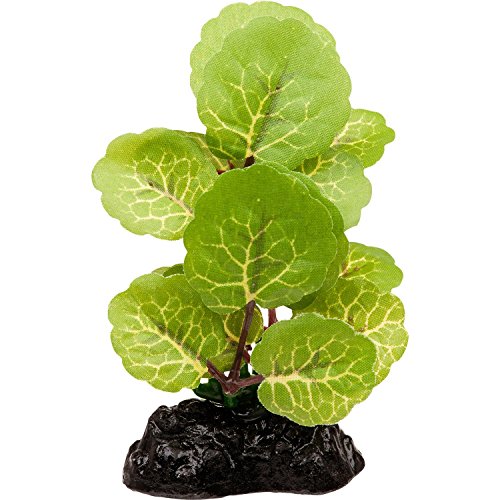 Imagitarium inline betta aquarium plant, 2" l x 1" w x …