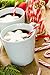 Outside the Box Papers Ladybug Theme Polka Dot Paper Straws 7.75 Inches 75 Pack Black, Red, White