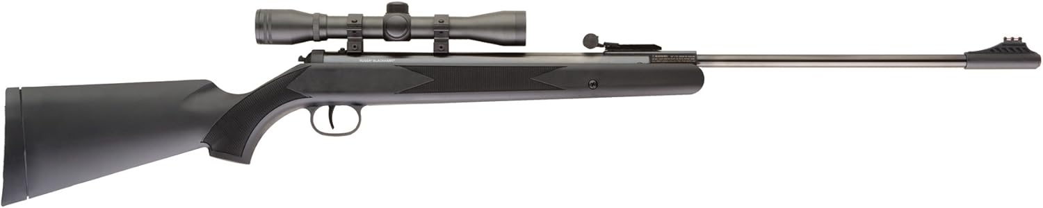 Ruger Blackhawk Combo air rifle : Airsoft Rifles : Sports & Outdoors