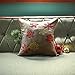 Phantoscope Decorative Merry Christmas Series Red and Yellow Embroidery Snowflakes on Beige Background 18 Inch Throw Pillow Cushion Cover