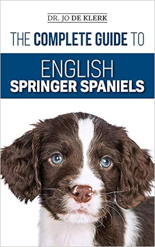 springer spaniel puppy training