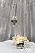TRLYC 20 Ft X 10 Ft Silver Sequins Backdrop Curtain