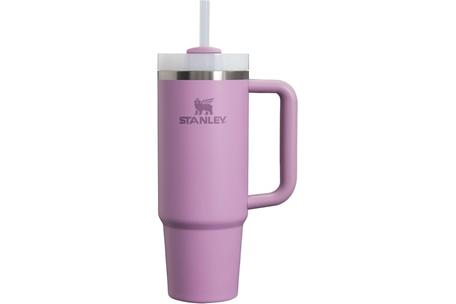 STANLEY Quencher H2.0 Tumbler with Handle and Straw 30 oz | Flowstate 3-Position Lid | Cup Holder Compatible for Travel | Ins Book