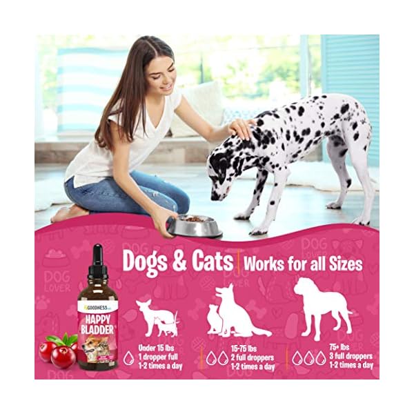 Cranberry Supplements for Dog UTI Cranberry Extract Dog Chews with