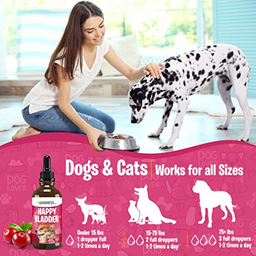 Cranberry Supplements for Dog UTI Cranberry Extract Dog Chews with