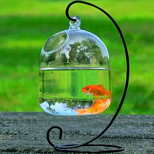 Hanging Transparent Glass Vases Fishbowl Fish Tanks Handmade Aquarium Decoration - Create Refreshing Atmosphere in Home