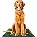 Ideas In Life Dog Potty Grass Pee Pad – Large 20