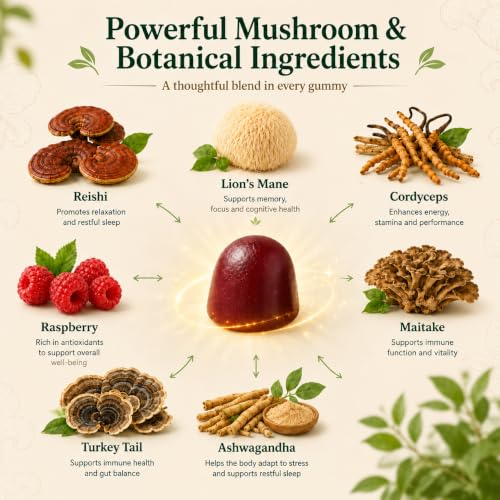 17-in-1 Mushroom Gummies High Strength, Mushroom Supplement with Lion’s Mane, Reishi, Chaga, Ashwagandha, Enhance Focus & Energy & Immunity, for Women and Men, Vegan, Raspberry Flavor (60 Gummies)