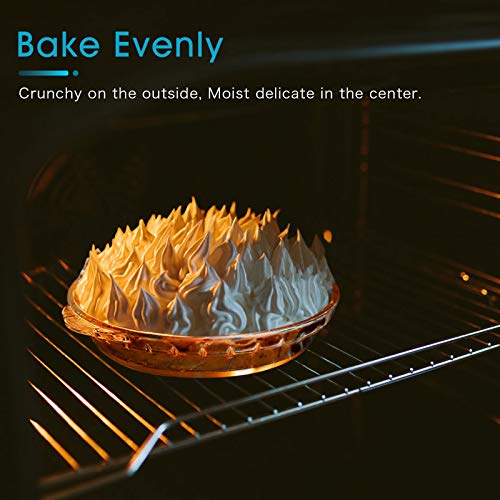 6.5 Inch Pie Plate by NUTRIUPS Small Glass Pie Dish Glass Pie Pan