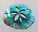 Sand Dollar Tropical Metal Wall Art Accent Teal Tainted