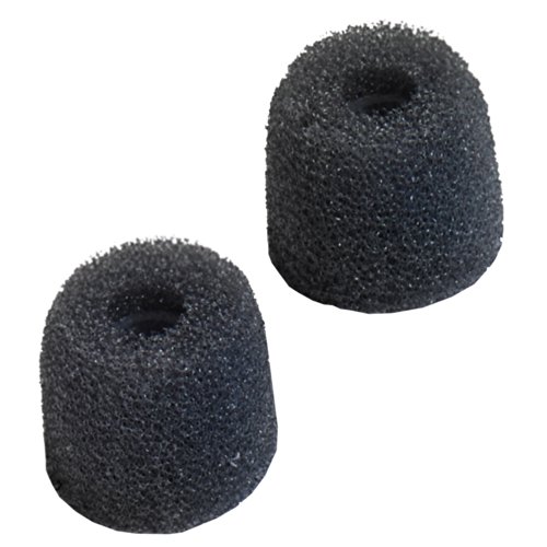 BlueAnt SP-PUMP-CMP-EB BlueAnt Pump Comply Ear Buds, Grey