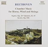 CHAMBER MUSIC FOR HORNS WINDS AND STRINGS          image