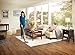 Electrolux EL2095A UltraPower Studio with Brushroll Clean Technology, Lithium Ion 18v Battery, 2-1 Stick/Handheld Cordless Vacuum