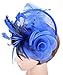 Womens Feather Mesh Fascinator Hat with Headband Royal Blue