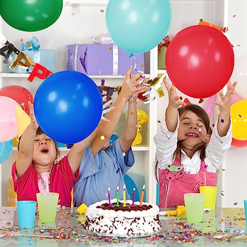 3 otters 110PCS Party Balloons with Pump, Rainbow Balloons Pack 12 Inch Latex Balloons Garland Arch for Kids Birthday Wedding Anniversaries Celebrations 16 Assorted Colors