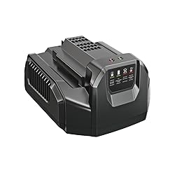 EGO CH2100 56-Volt Lithium-ion Standard Charger for