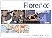 Florence PopOut Map (PopOut Maps) by