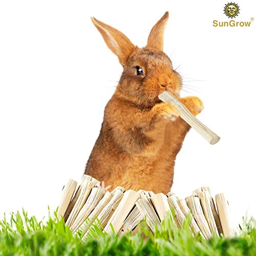 SunGrow Sweet Bamboo Chew Sticks for Rabbits, 100g (3.5 oz) Bunny Molar